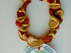 ������� - ������ ��������